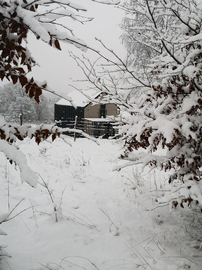 Domek Nasze Miejsce Lomnica  Exterior foto