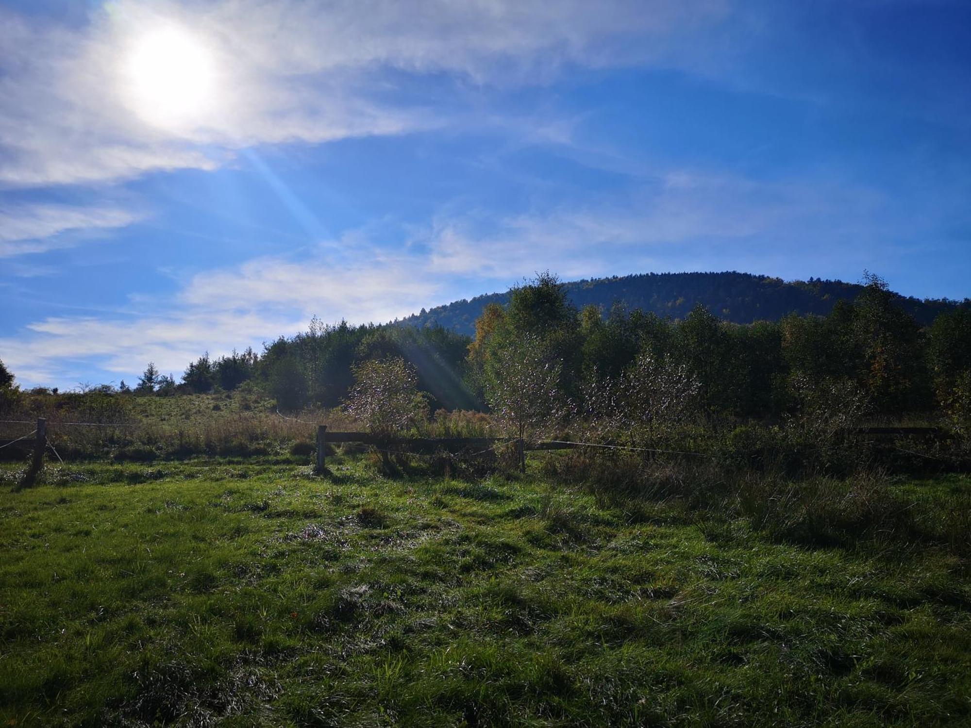 Domek Nasze Miejsce Lomnica  Exterior foto
